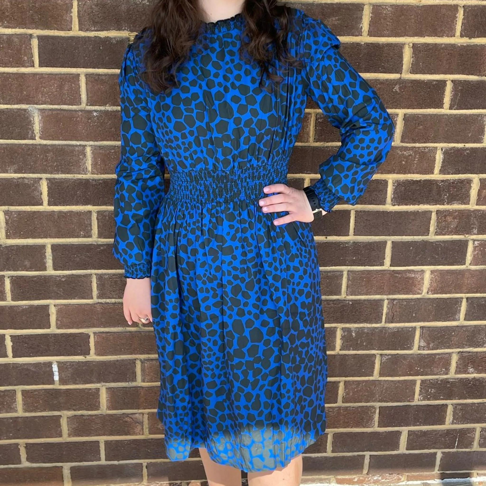 Chelly Cheeta Dress by Paisley Teen